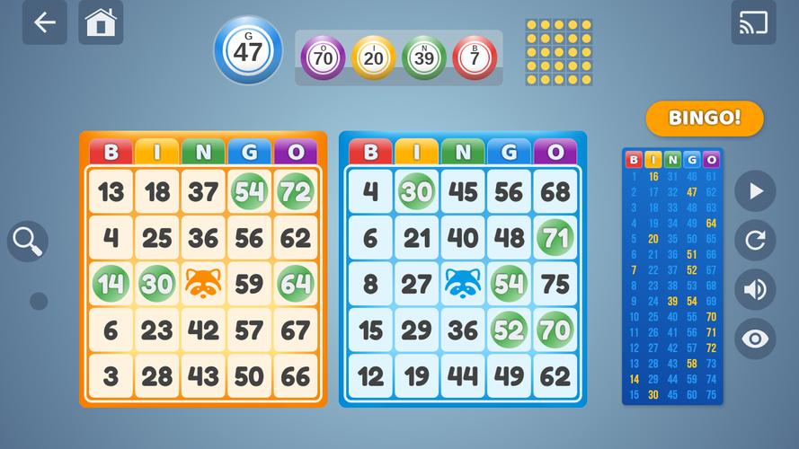 Bingo Set Screenshot 0