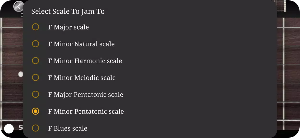 Guitar Scales & Chords ภาพหน้าจอ 2