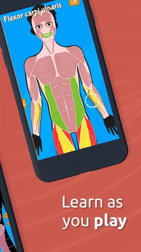 Human Anatomy - Body parts應用截圖第2張