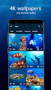 Underwater Wallpapers 4K স্ক্রিনশট 1