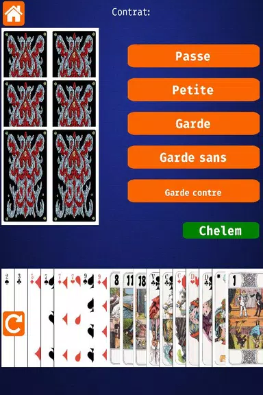 Net.Tarot 스크린샷 1