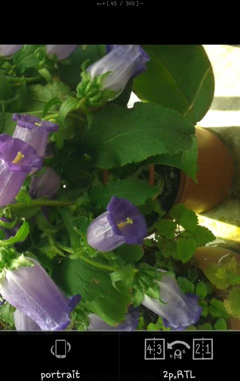 LZ Comic Viewer スクリーンショット 1