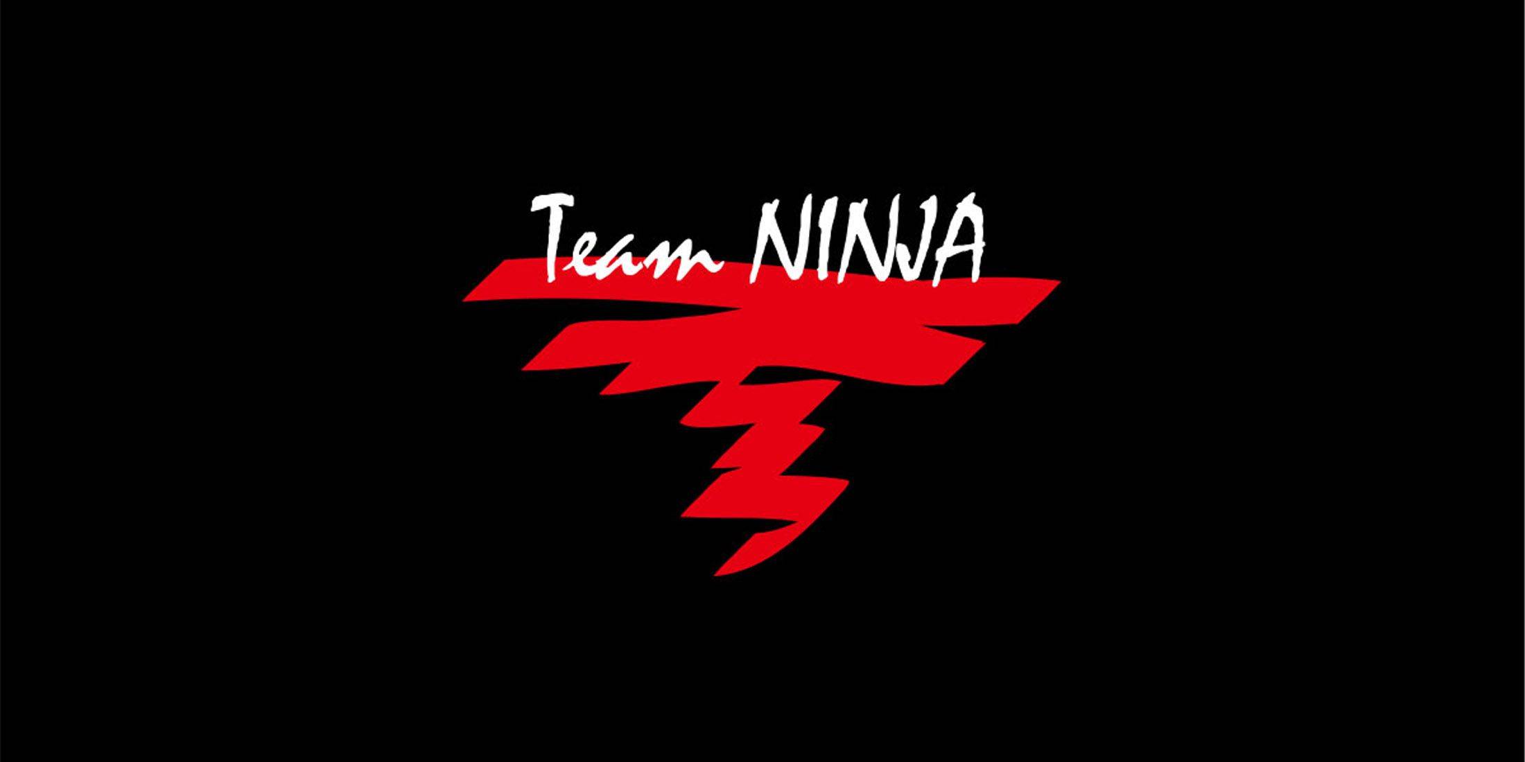 Team Ninja mostra marco do 30º marco