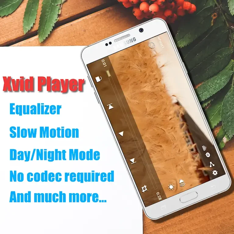 Xvid Video Codec Player ဖန်သားပြင်ဓာတ်ပုံ 0