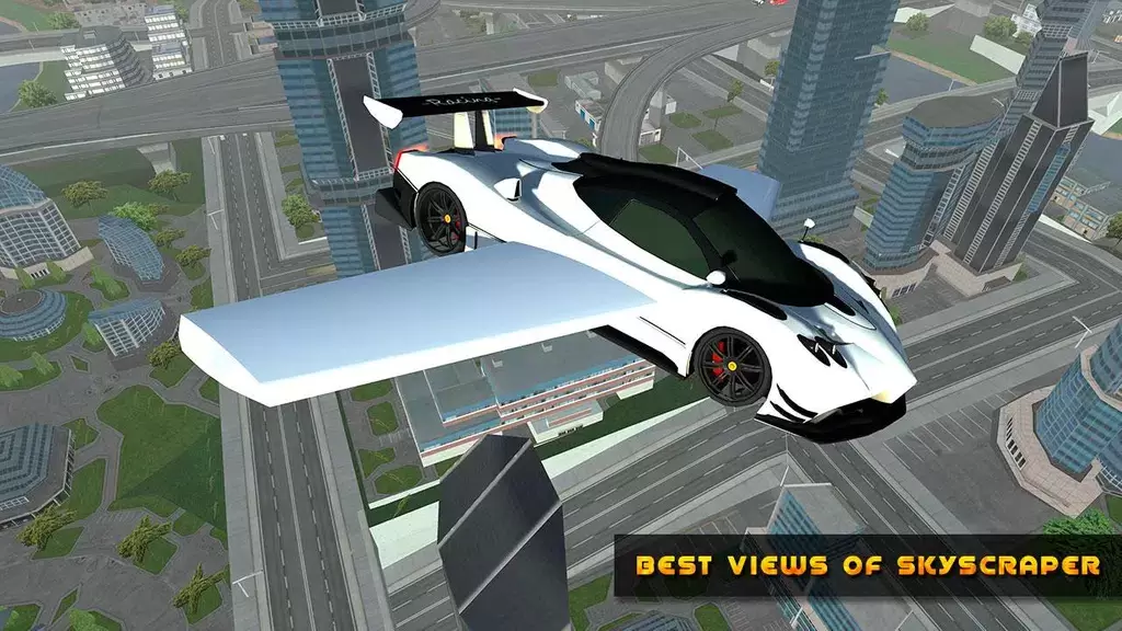 Flying Car Game driving應用截圖第2張