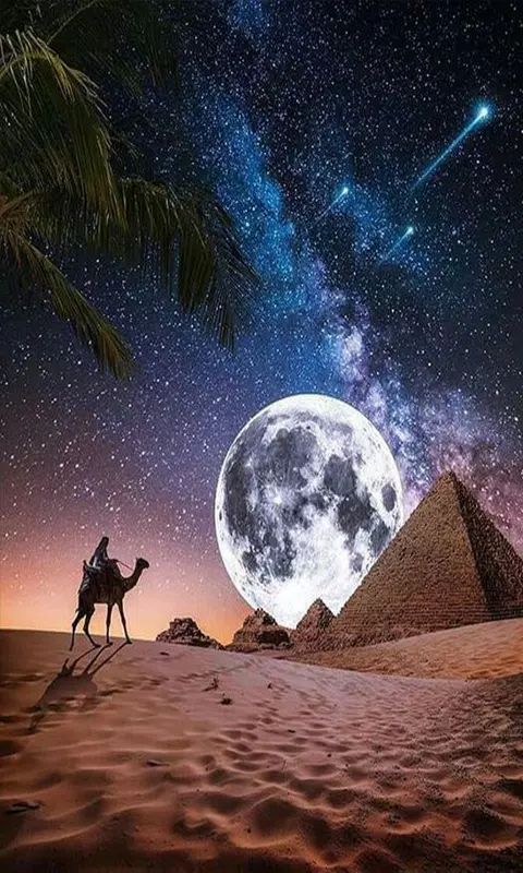 خلفيات應用截圖第2張