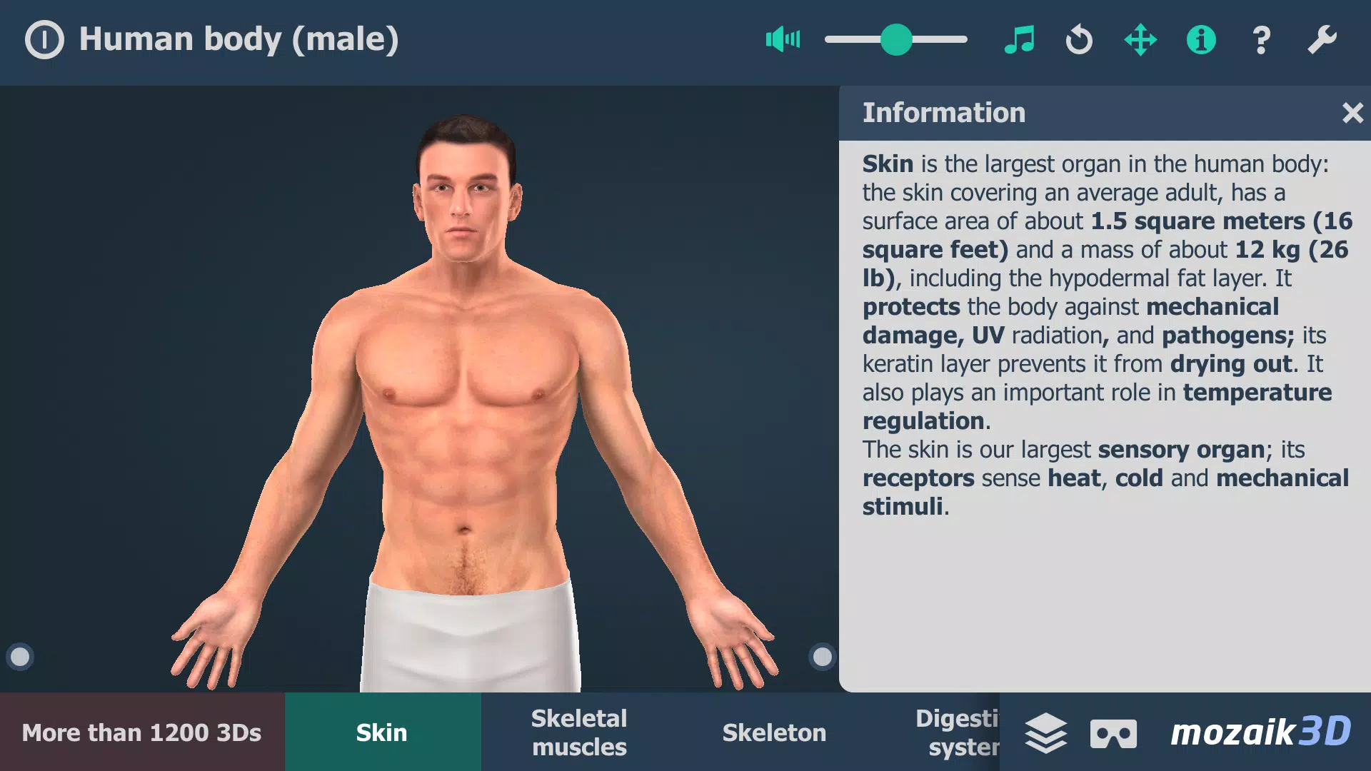 Human body (male) 3D scene應用截圖第0張