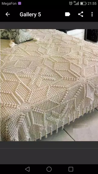 Crochet Blanket Patterns應用截圖第2張