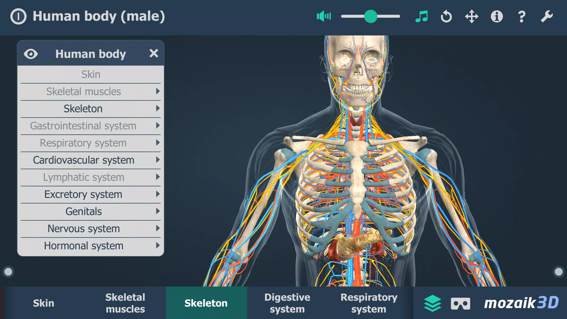Human body (male) 3D scene應用截圖第3張