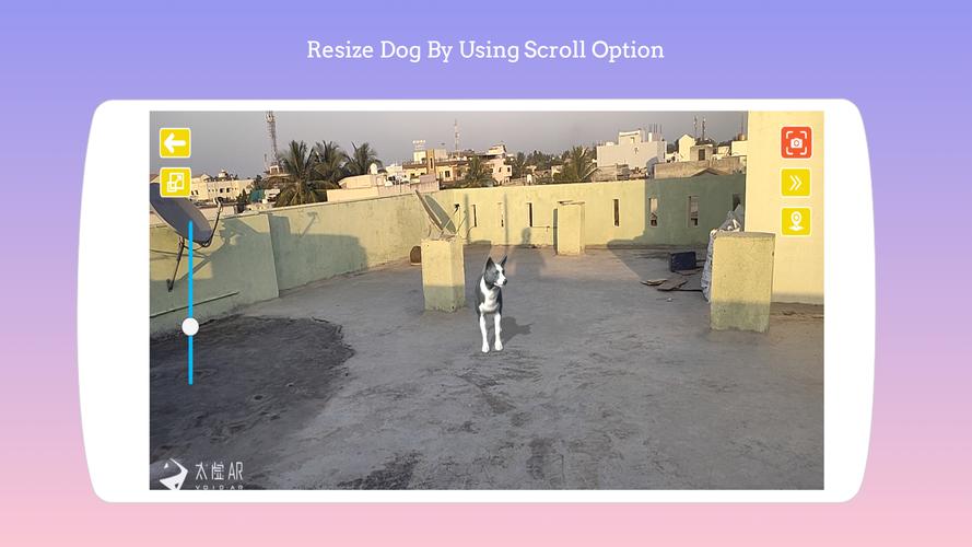 Dog play Ar スクリーンショット 2