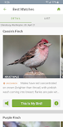 Merlin Bird ID by Cornell Lab ภาพหน้าจอ 1