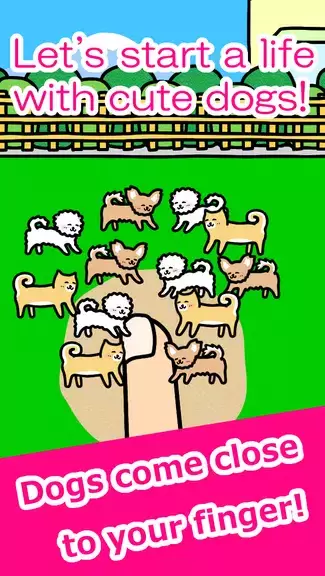 Play with Dogs - relaxing game ภาพหน้าจอ 0