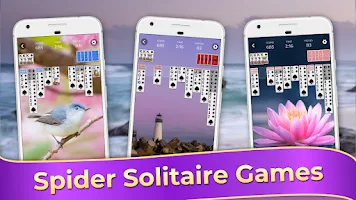 Spider Solitaire Classic Games應用截圖第1張