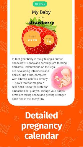 Pregnancy App and Baby Tracker ภาพหน้าจอ 2