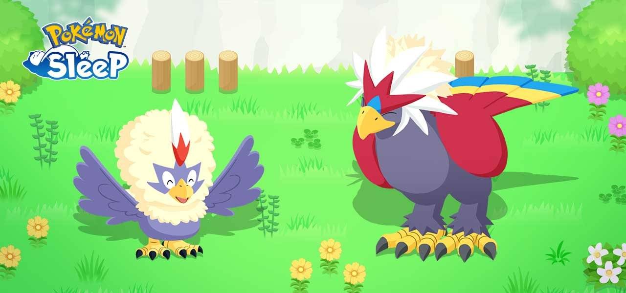 Pokemon Sleep ajoute Rufflet et Braviary à vos rencontres de rêve en janvier