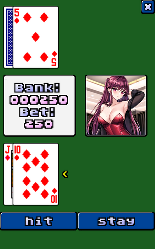 video blackjack Screenshot 2