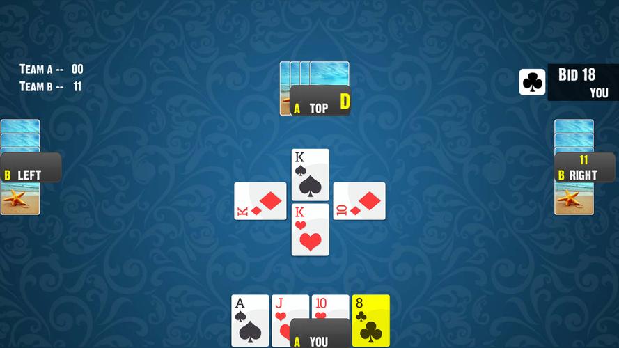 28 Card Game:Offline Card Game Screenshot 0