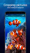 Underwater Wallpapers 4K স্ক্রিনশট 3