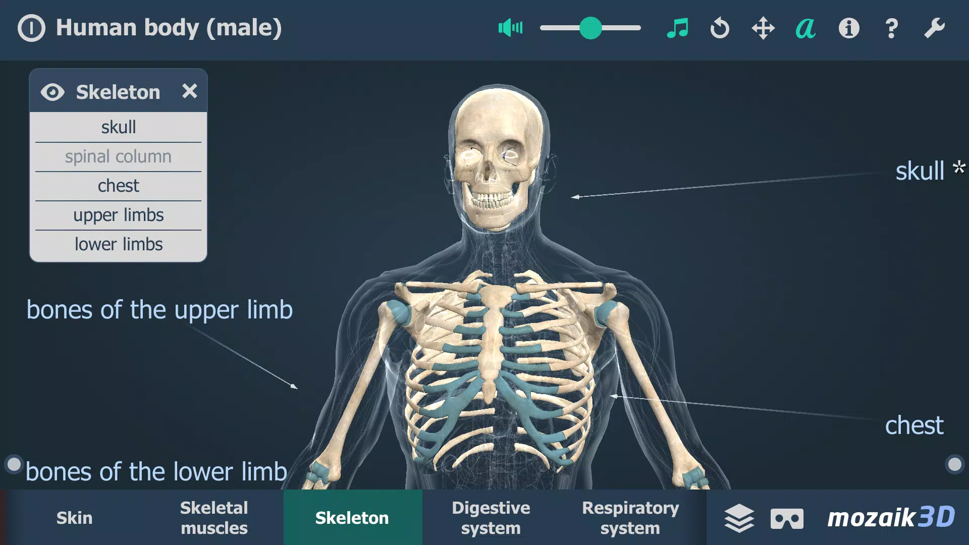 Human body (male) 3D scene應用截圖第2張
