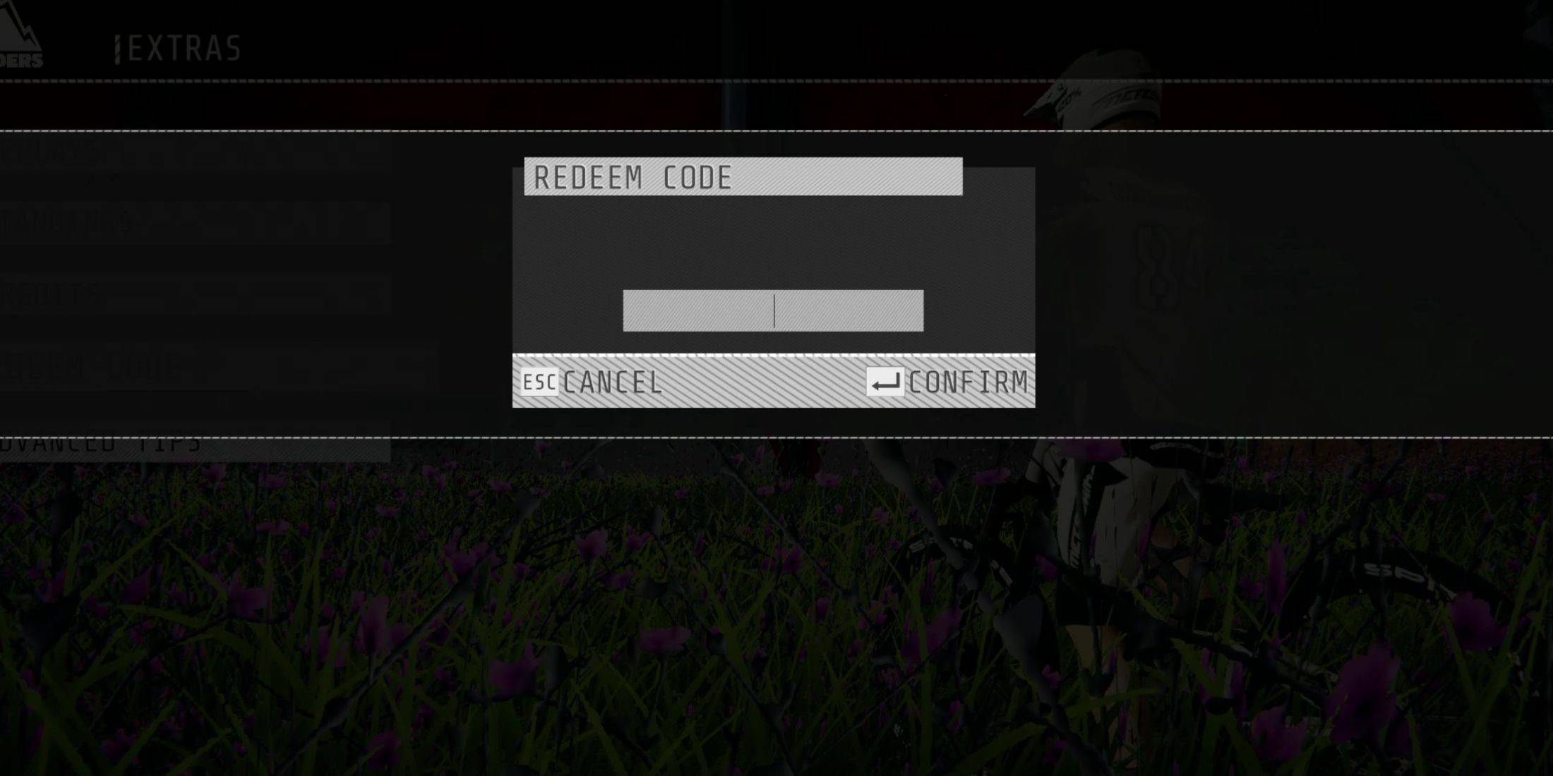 Image: In-game menu showing code redemption option