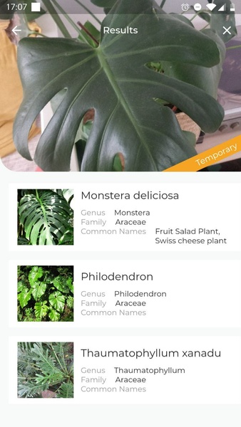 LeafSnap Plant Identification Screenshot 2