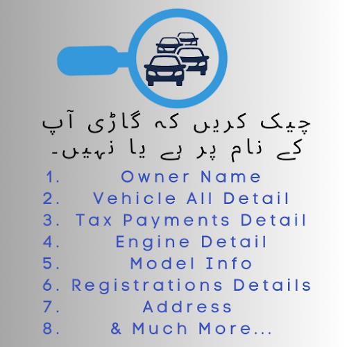 Vehicle Verification Pakistan Ảnh chụp màn hình 0