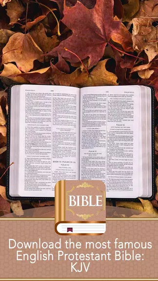 KJV Bible Ảnh chụp màn hình 2