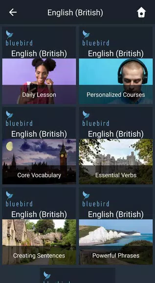 Learn British English. Speak B应用截图第0张