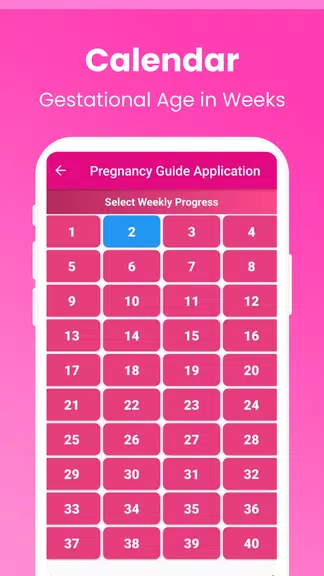 Pregnancy Guide - A Mom スクリーンショット 3