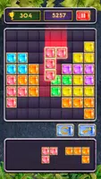 Block Jewel: Brick Puzzle Game Captura de tela 0