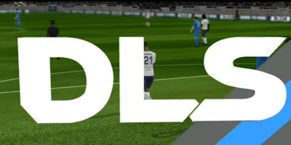 DLS 2025應用截圖第0張
