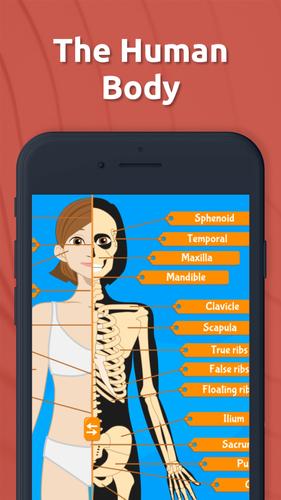 Human Anatomy - Body parts應用截圖第0張