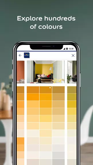 Dulux Visualizer ZA স্ক্রিনশট 1