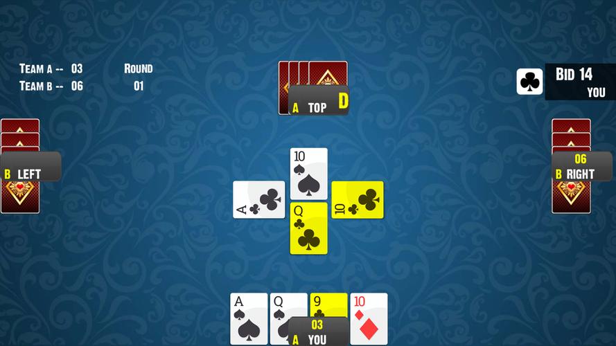 28 Card Game:Offline Card Game Screenshot 2