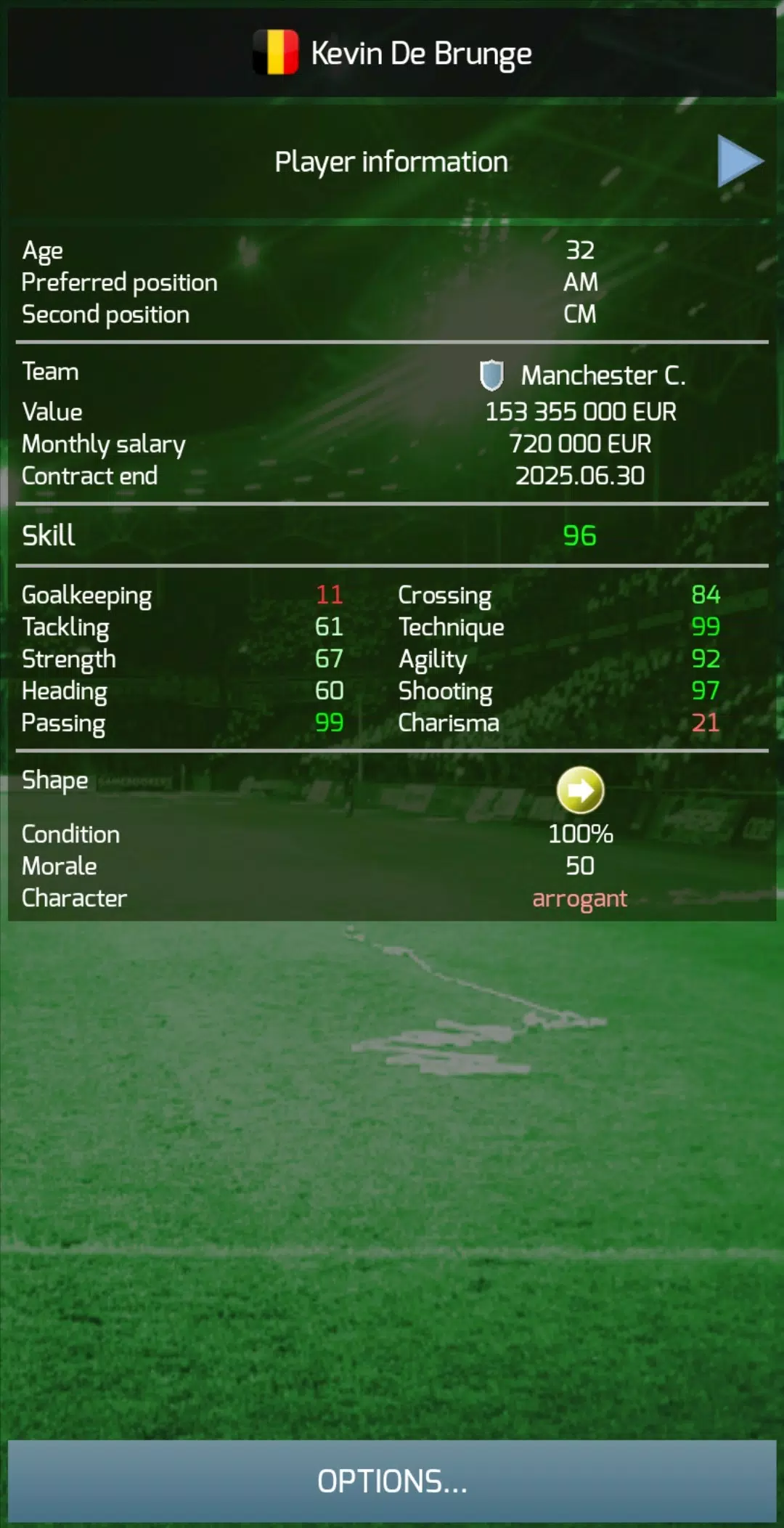 True Football 3 Screenshot 3