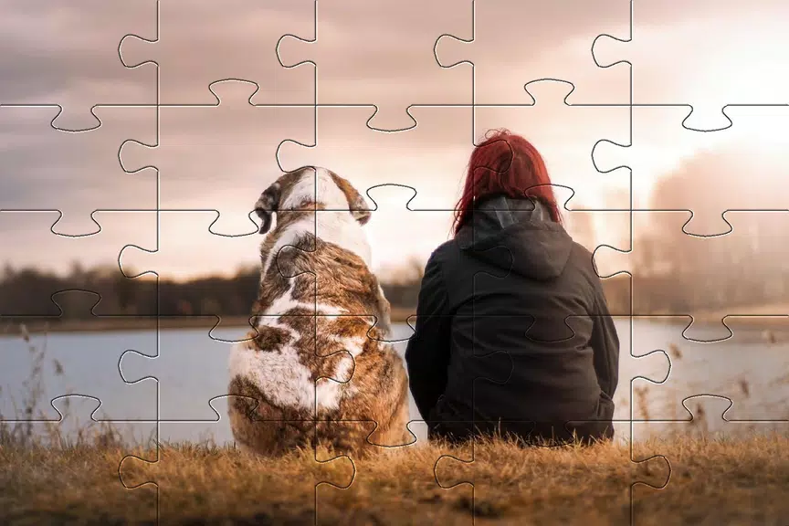 Schermata Jigsaw puzzle without internet 3