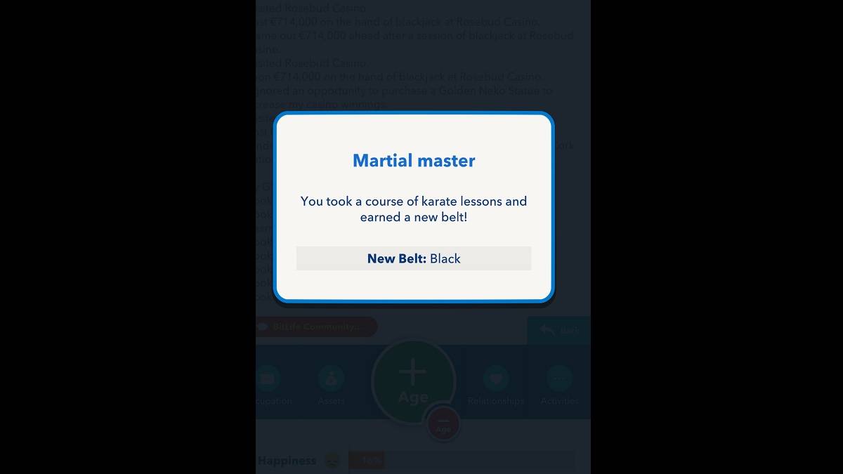 Bitlife Black Belt заработал