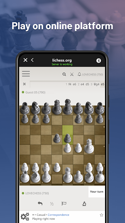 Chessnut স্ক্রিনশট 1