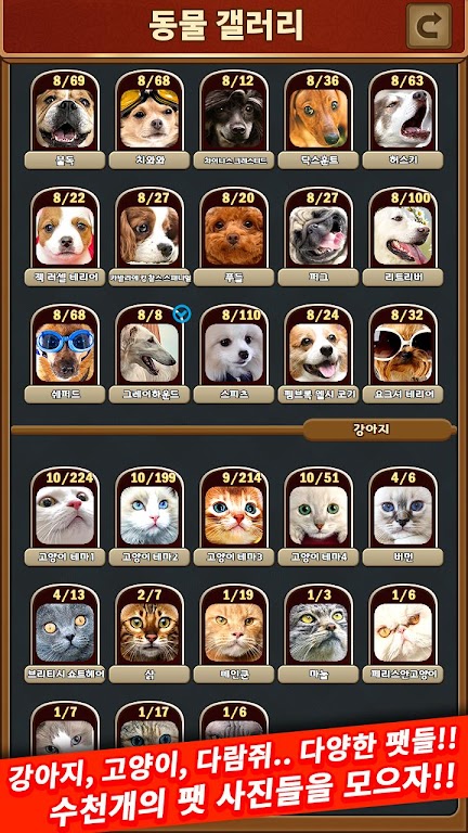 애니멀 맞고 - 동물 팻 고스톱 ဖန်သားပြင်ဓာတ်ပုံ 3