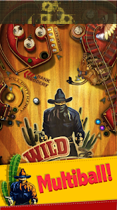 Wild West Pinball Ekran Görüntüsü 0