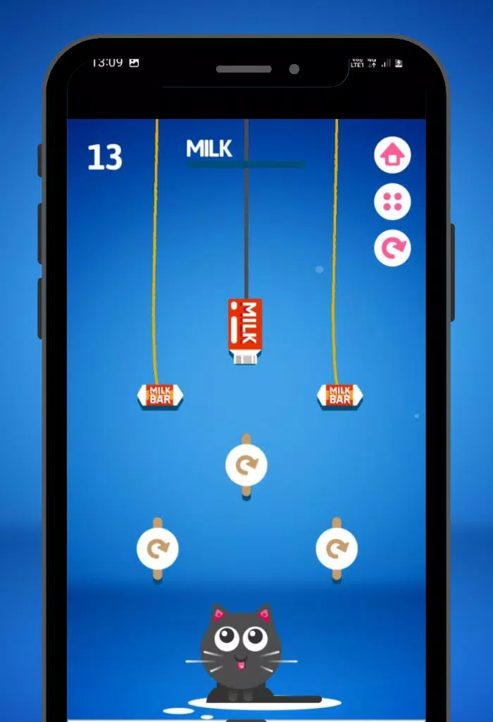 Feed the Kitty Cat Game 스크린샷 2