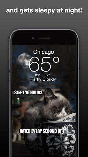 Grumpy Cat Weather Ảnh chụp màn hình 2