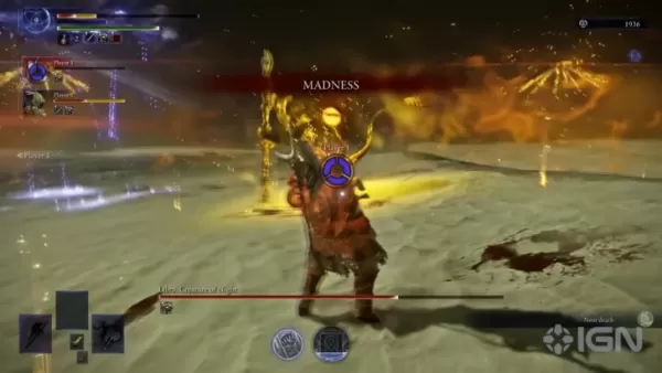 Elden Ring Nightreign Madness Mechanic