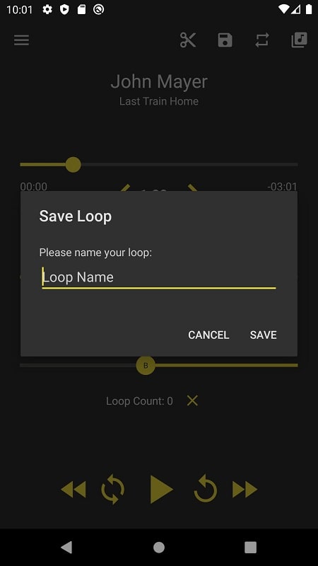 Loop Player应用截图第2张