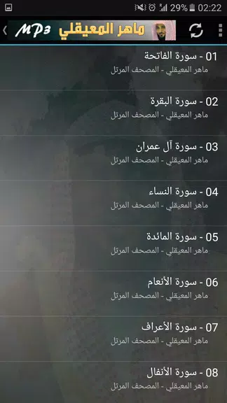 ماهر المعيقلي القران الكريم Captura de pantalla 2