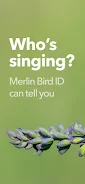 Merlin Bird ID by Cornell Lab Zrzut ekranu 3