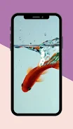 Koi Fish Live Wallpaper Screenshot 1