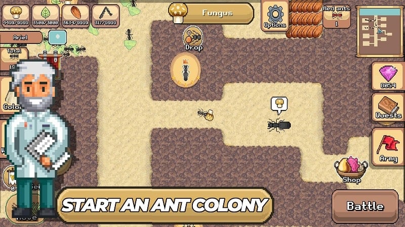 Pocket Ants應用截圖第2張