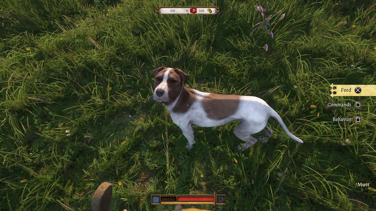 Kingdom Come Deliverance 2: Mutt Ort Leitfaden