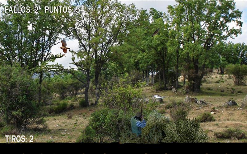 Caza zorzal Captura de tela 3